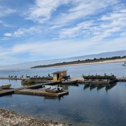 Jetty Fishery Marina & R V Park - They Jetty and the company dock and boats