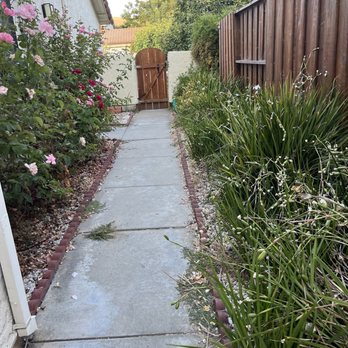 Berryessa Quality Landscape - The before - Masonry/Concrete Near Me - San Jose, California Berryessa Quality Landscape - The before - Masonry/Concrete Near Me - San Jose, California
