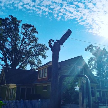 Stringfellow's Tree Service - They did fast work - Tree Services Near Me - Amissville, Virginia