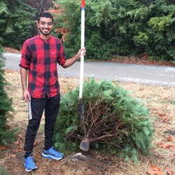 McKenzie Ranch - Cut down our first tree!