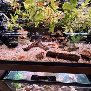 360 Aquatic - Local Fish Stores Near Me - Houston, Texas