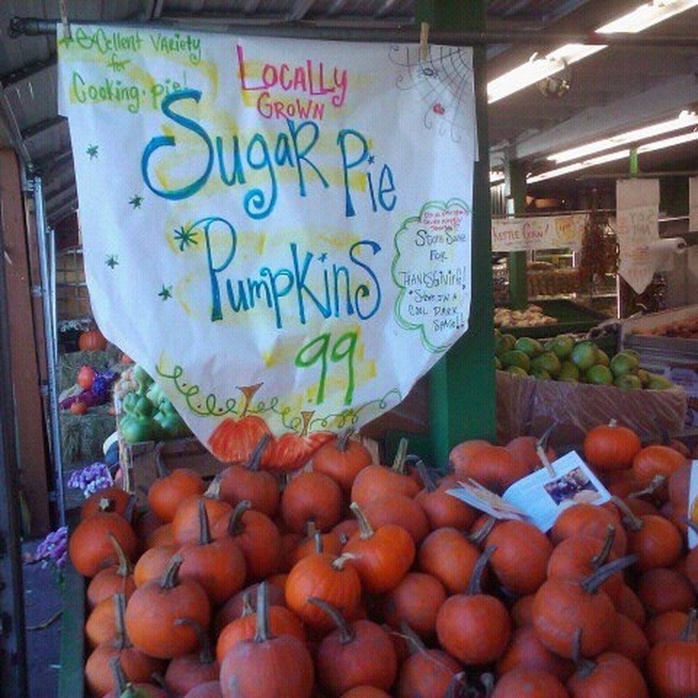 Yakima Fruit Market & Nursery - Sugar pumpkins during the Fall - Fruits & Veggies Near Me - Bothell, Washington Yakima Fruit Market & Nursery - Sugar pumpkins during the Fall - Fruits & Veggies Near Me - Bothell, Washington