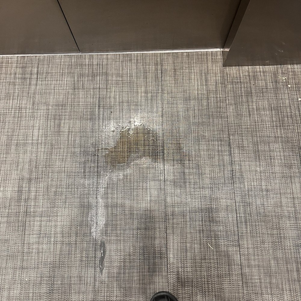 Dog urine in the elevator Dog urine in the elevator