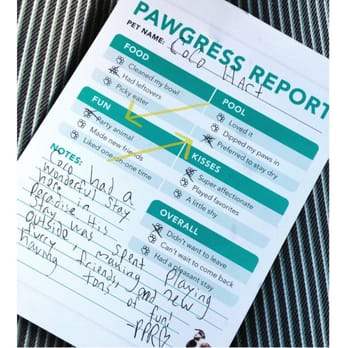 Pet Paradise Jacksonville University - Yep! That's my child! ...  Thanks @petparadiseresort for always taking such great care of my #CocoPuffy! - Pet Training Near Me - Jacksonville, Florida
