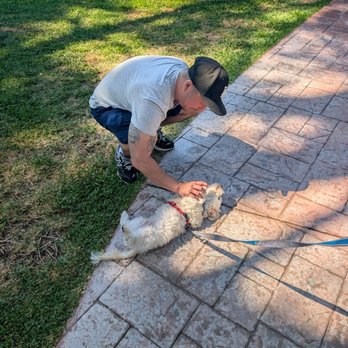 K9 Logic Dog Training - Chris N and Remy during drop off - Pet Training Near Me - Glendale, California K9 Logic Dog Training - Chris N and Remy during drop off - Pet Training Near Me - Glendale, California