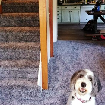 Perry Floors - The carpet looks amazing, fished so well. Can't see any seems and loved the way they finished the stairs - Carpet Installation Near Me - Upland, California
