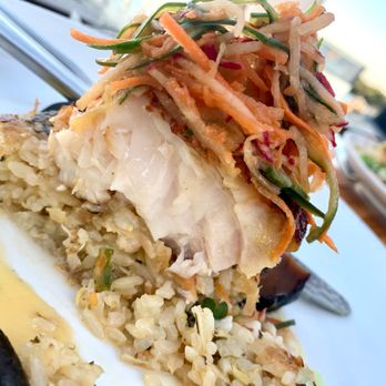 Shore - Miso Marinated Black Grouper - New American Near Me - Longboat Key, Florida