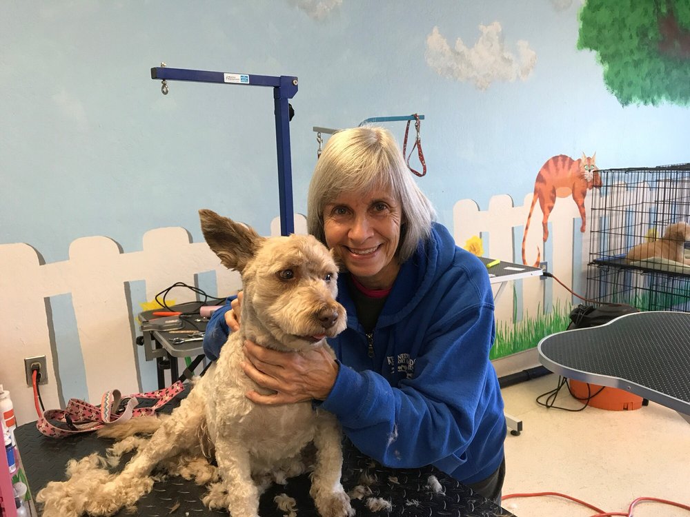 PAW’S & CLAW’S GROOMING 30 Reviews Auburn, California Pet