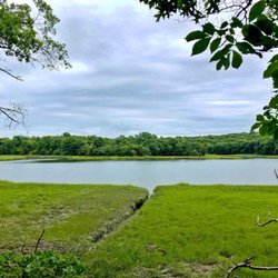 Bare Cove Park