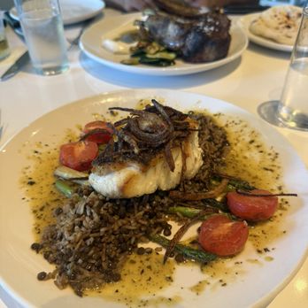 Baba On Central - Catch (red snapper) - Greek Near Me - St. Petersburg, Florida Baba On Central - Catch (red snapper) - Greek Near Me - St. Petersburg, Florida