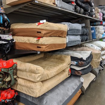Petco - Comfy Cushions - Pet Training Near Me - Washington, DC, District of Columbia