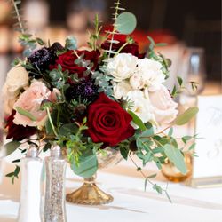 Ribbons & Roses