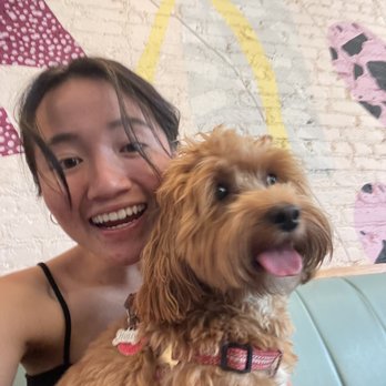 Boris & Horton - A friendly cute visitor! Brightened my workday!! - Cafes Near Me - New York, New York