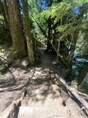 Sahalie Falls by null