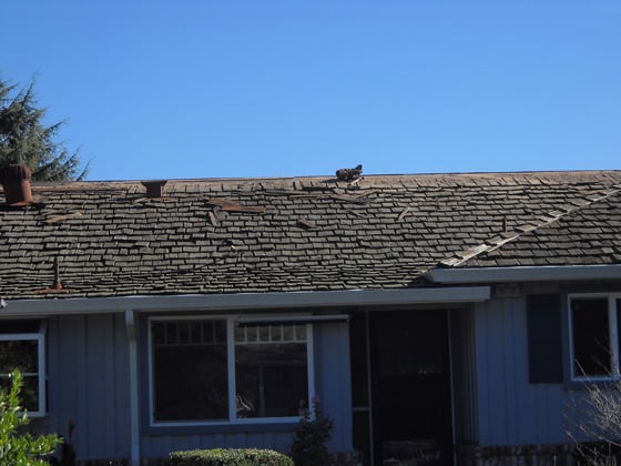 Slide of Williams Roofing