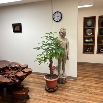STCM Clinic - Acupuncture Near Me - Sunnyvale, California STCM Clinic - Acupuncture Near Me - Sunnyvale, California