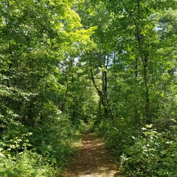 Doon Regional Forest - Parks Near Me - Kitchener, Ontario Doon Regional Forest - Parks Near Me - Kitchener, Ontario