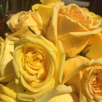 Mehak Florals - Party & Event Planning Near Me - Hicksville, New York Mehak Florals - Party & Event Planning Near Me - Hicksville, New York