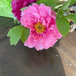 Beautiful flowers from a beautiful soul. Beautiful flowers from a beautiful soul.