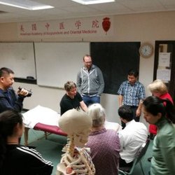 Talented Hands Physical Therapy & Acupuncture