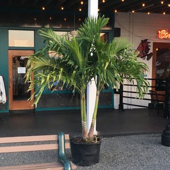 Rick's Cafe - Cafes Near Me - Naples, Maine Rick's Cafe - Cafes Near Me - Naples, Maine