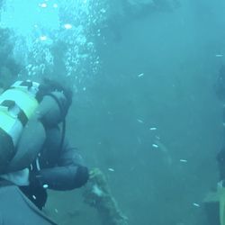 South Florida Diving Head Quarters