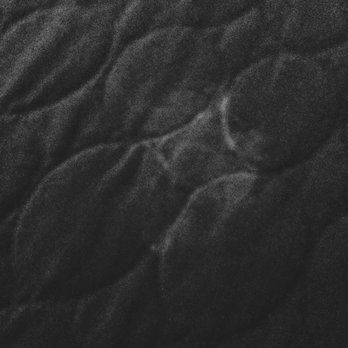 Golden Palms Inn & Suites - More sexual fluids on corner of bed. Filthy disgusting rooms. Health risks - Hotels Near Me - Ocala, Florida Golden Palms Inn & Suites - More sexual fluids on corner of bed. Filthy disgusting rooms. Health risks - Hotels Near Me - Ocala, Florida