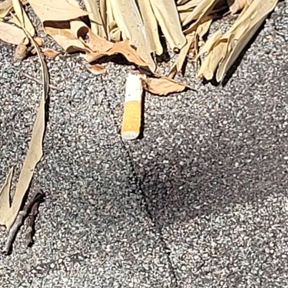 Palapas Texas - Cigg butt left on roof - General Contractors Near Me - Houston, Texas Palapas Texas - Cigg butt left on roof - General Contractors Near Me - Houston, Texas
