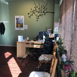 Vineland Acupuncture & Wellness - Lobby
