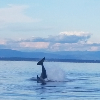 Outer Island Expeditions - Fishing Near Me - Eastsound, Washington