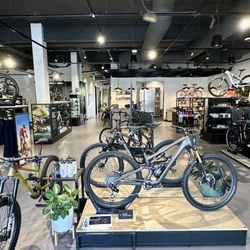 Specialized