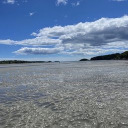 Beach area showing tide is out