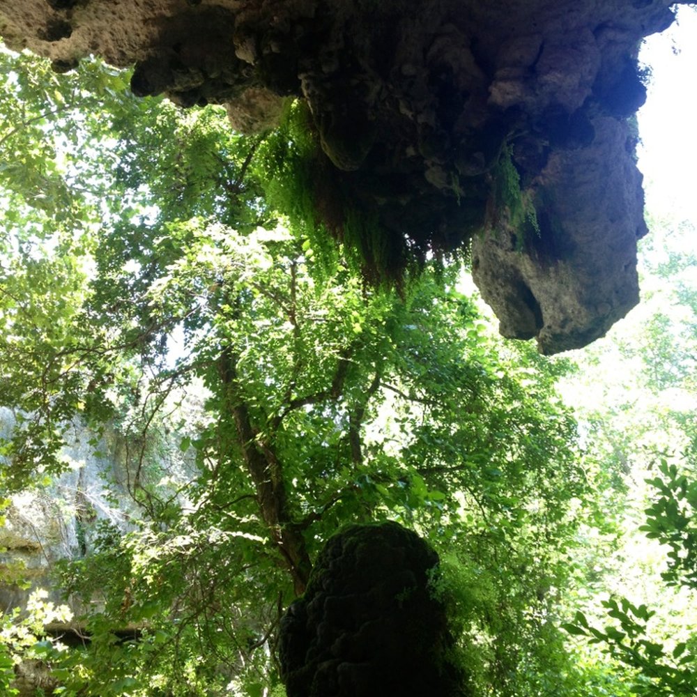 Rock-About Climbing Adventures - Climbing Near Me - Austin, Texas Rock-About Climbing Adventures - Climbing Near Me - Austin, Texas