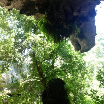 Rock-About Climbing Adventures - Climbing Near Me - Austin, Texas Rock-About Climbing Adventures - Climbing Near Me - Austin, Texas
