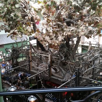 The Botanist - The tree right in the middle of the bar. - Bars Near Me - Newcastle, XTW