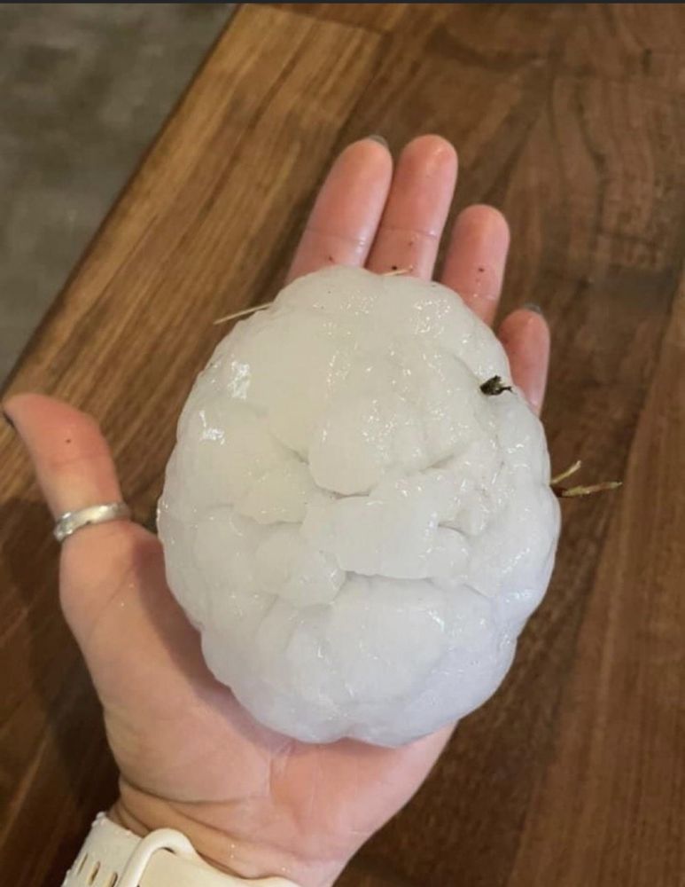 Slide of Bluejay Roofing