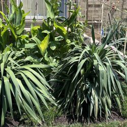 Silverbrook Nursery & Landscaping