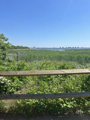 Jamaica Bay Wildlife Refuge by null