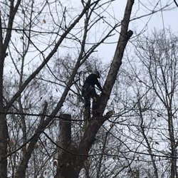 A1 Nantz & Sons Tree Service - Free estimates! Specializing in danger trees! (606)224-5683