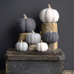 FURNISH - Pumpkins are here!