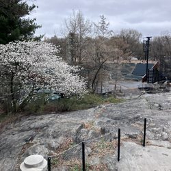 Turtle Pond