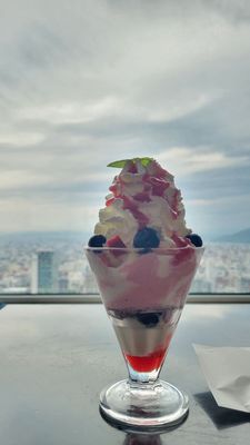 JR Tower Observatory T38 by null