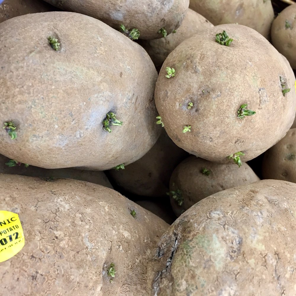 Lucky - Ok, my potatoes starts sprouting around 2-3 weeks. Can these be retired now... - Grocery Near Me - Union City, California Lucky - Ok, my potatoes starts sprouting around 2-3 weeks. Can these be retired now... - Grocery Near Me - Union City, California