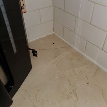 Big Bear Vacations - Rat droppings on kitchen counter behind coffee pot. - Vacation Rentals Near Me - Big Bear Lake, California