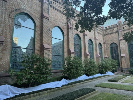 Christ Church Cathedral by null