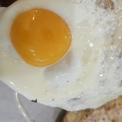 Nulla Nulla Cafe - Simple Fried Egg Over Easy