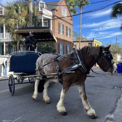 Carolina Polo & Carriage Co