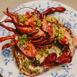 Bianca - wood grilled maine lobster