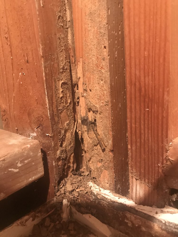 TRIDENT PROPERTY MANAGEMENT 22 Photos & 59 Reviews Property