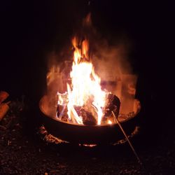 Hills Creek State Park